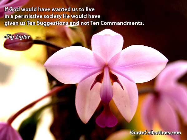 Zig Ziglar Quotes4